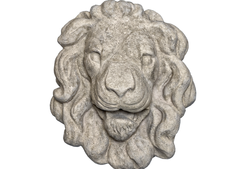 Lion Head 3 - Gray Color - Smooth Texture - web version Lion Head 3 - Gray Color - Smooth Texture - web version