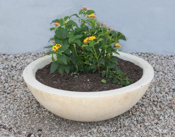 Mesa Precast Planters, Ornamentals