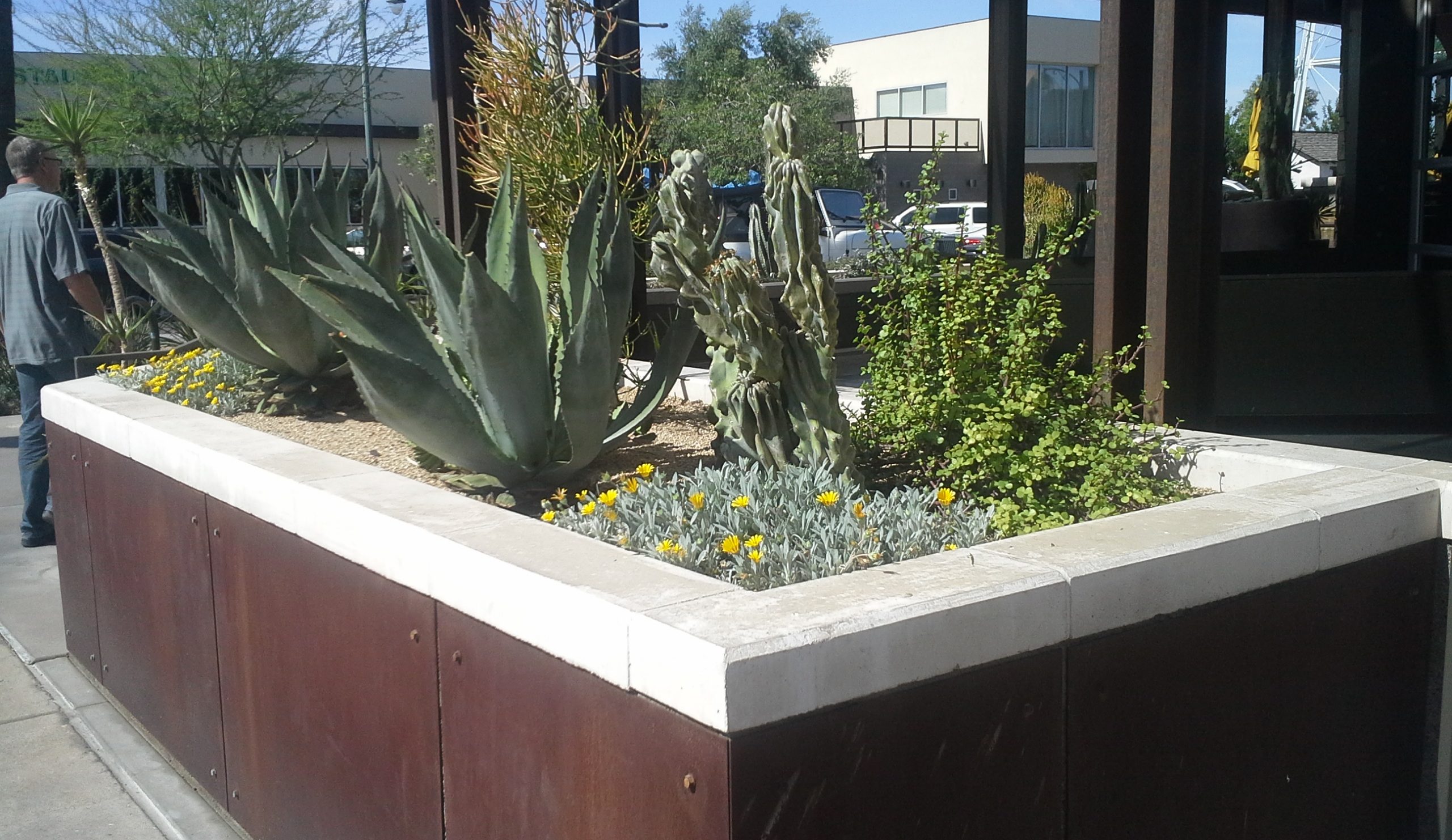 Mesa Precast - Wall Coping at Heritage Park V1 Mesa Precast - Wall Coping at Heritage Park V1