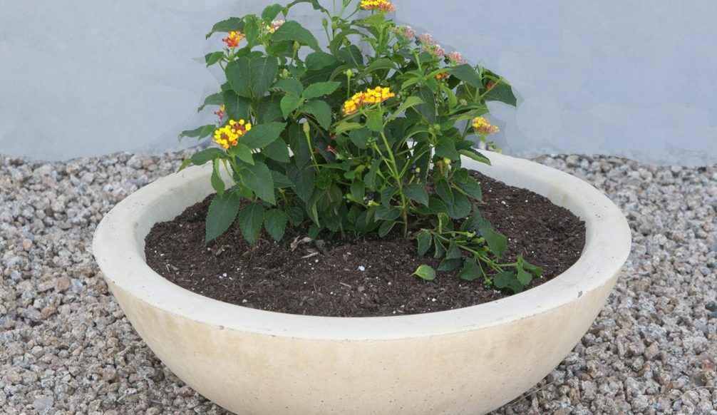 Mesa Precast - Flower Pot Mesa Precast - Architectural Precast Flower Pot