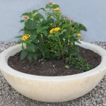 Mesa Precast Catalog Product – Wok Bowl | Flower Pot