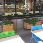 Mesa Precast Project | Wainscots at Zin Burger