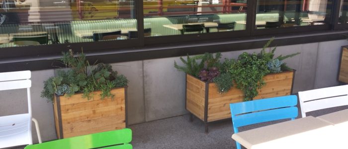 Mesa Precast Project | Wainscots at Zin Burger
